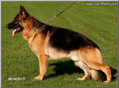 Jago